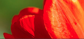 在线轰炸机免费版